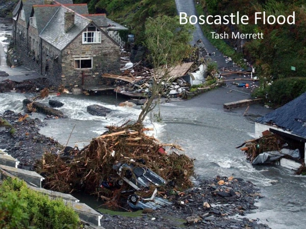 Boscastle Flood Tash Merrett