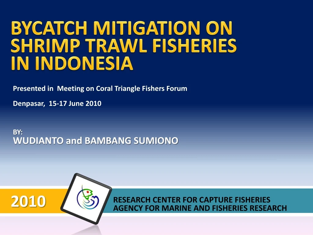 bycatch mitigation on shrimp trawl fisheries