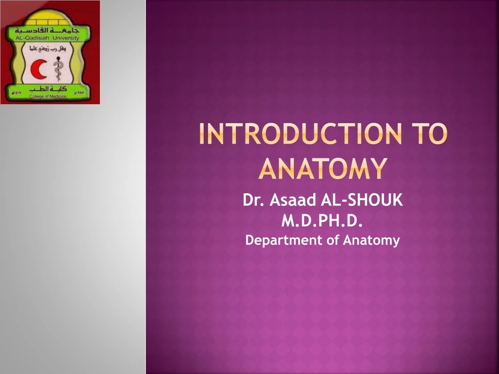 introduction to anatomy