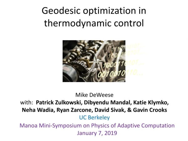 Geodesic optimization in thermodynamic control