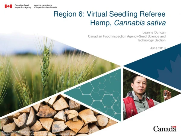 Region 6: Virtual Seedling Referee Hemp, Cannabis sativa
