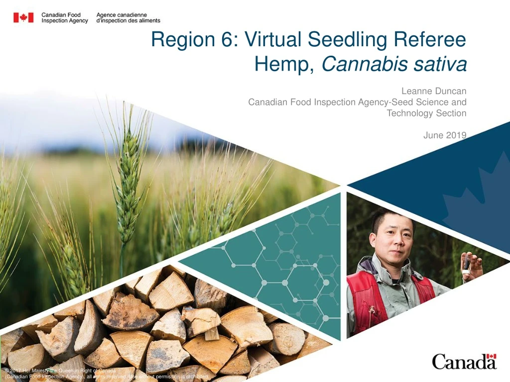 region 6 virtual seedling referee hemp cannabis sativa