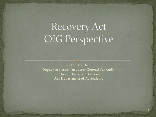 Recovery Act OIG Perspective