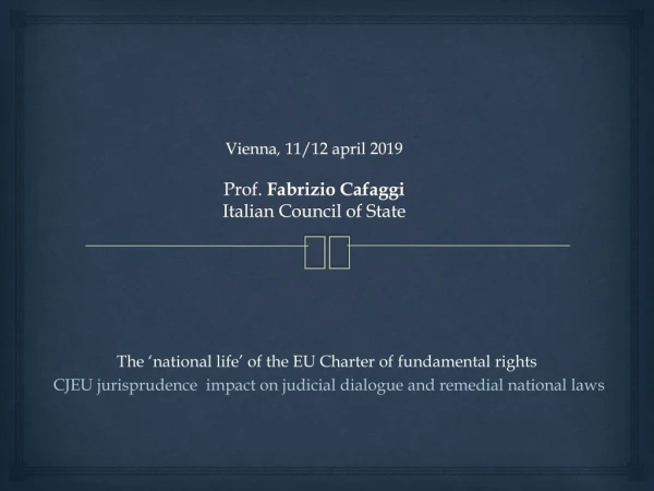 Vienna , 11/12 april 2019 Prof. Fabrizio Cafaggi Italian Council of State