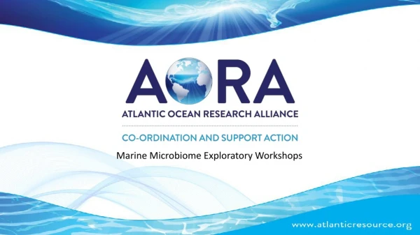 Marine Microbiome Exploratory Workshops