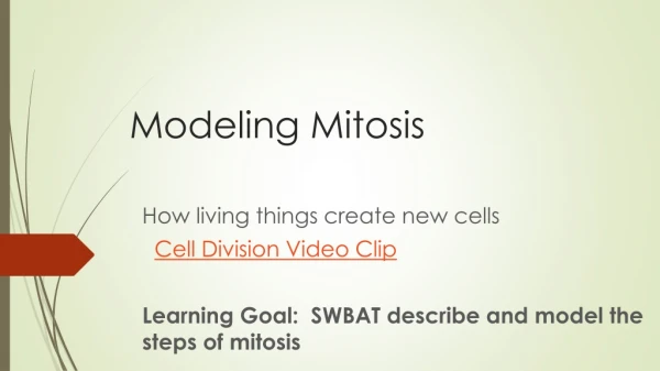 Modeling Mitosis
