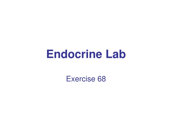 Endocrine Lab