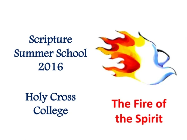 Scripture Summer School 2016 Holy Cross College