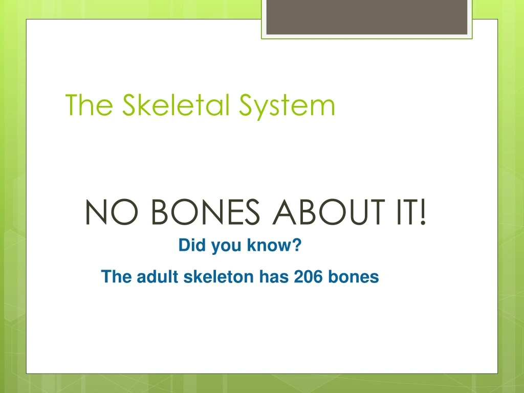 the skeletal system