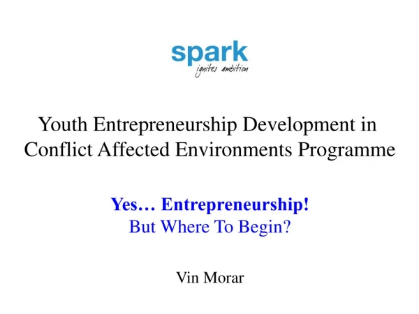 Youth Entrepreneurship Development in Conflict Affected Environments Programme