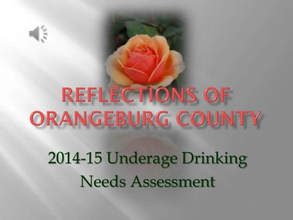 REFLECTIONS OF Orangeburg County
