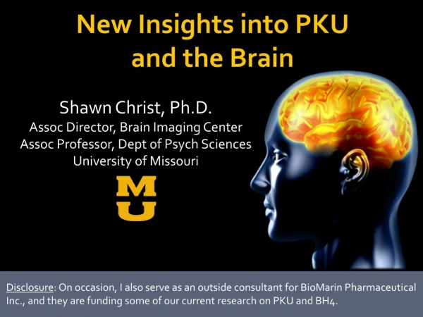 New Insights into PKU and the Brain