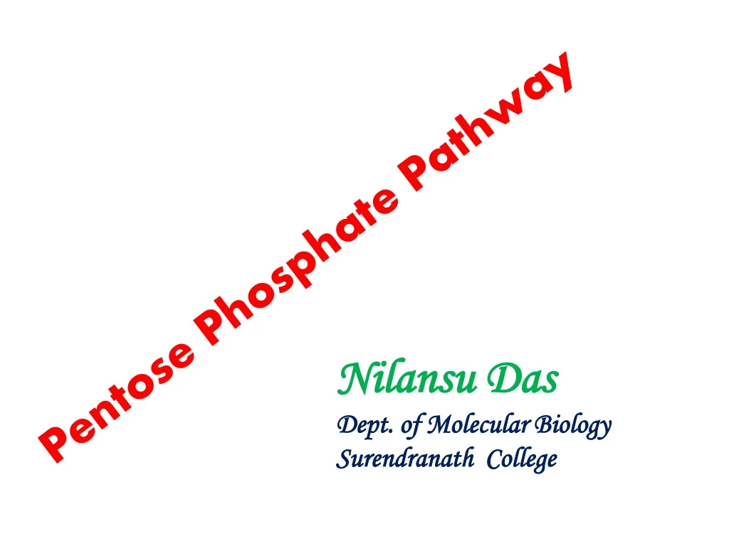 pentose phosphate pathway