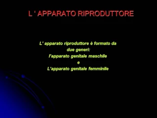 L APPARATO RIPRODUTTORE - slide 1