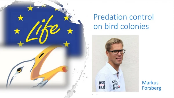 Predation control on bird colonies