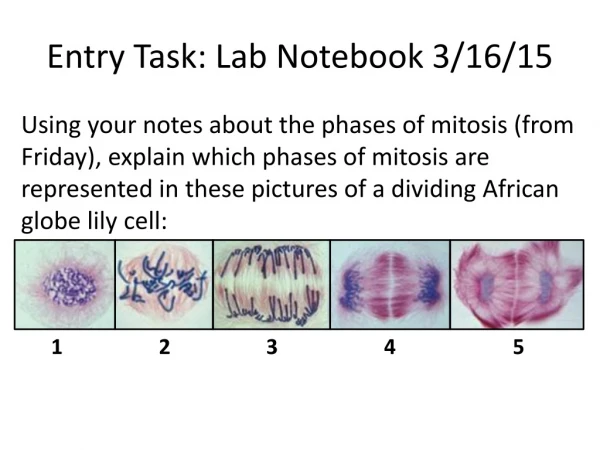 Entry Task: Lab Notebook 3/16/15