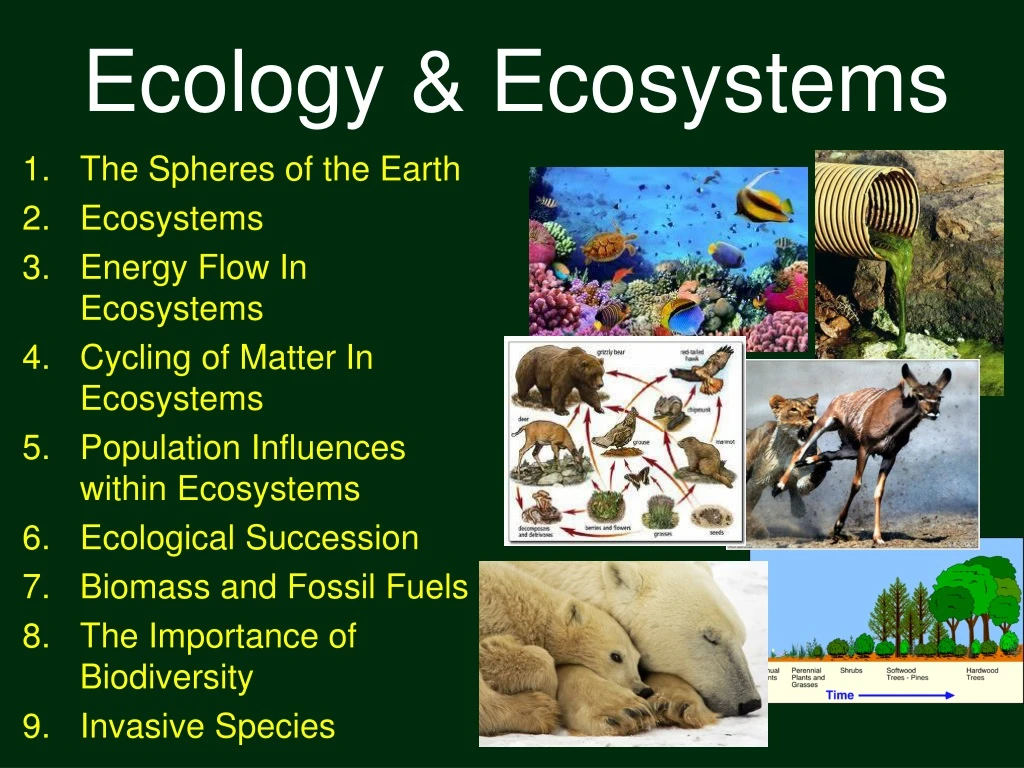 ecology ecosystems