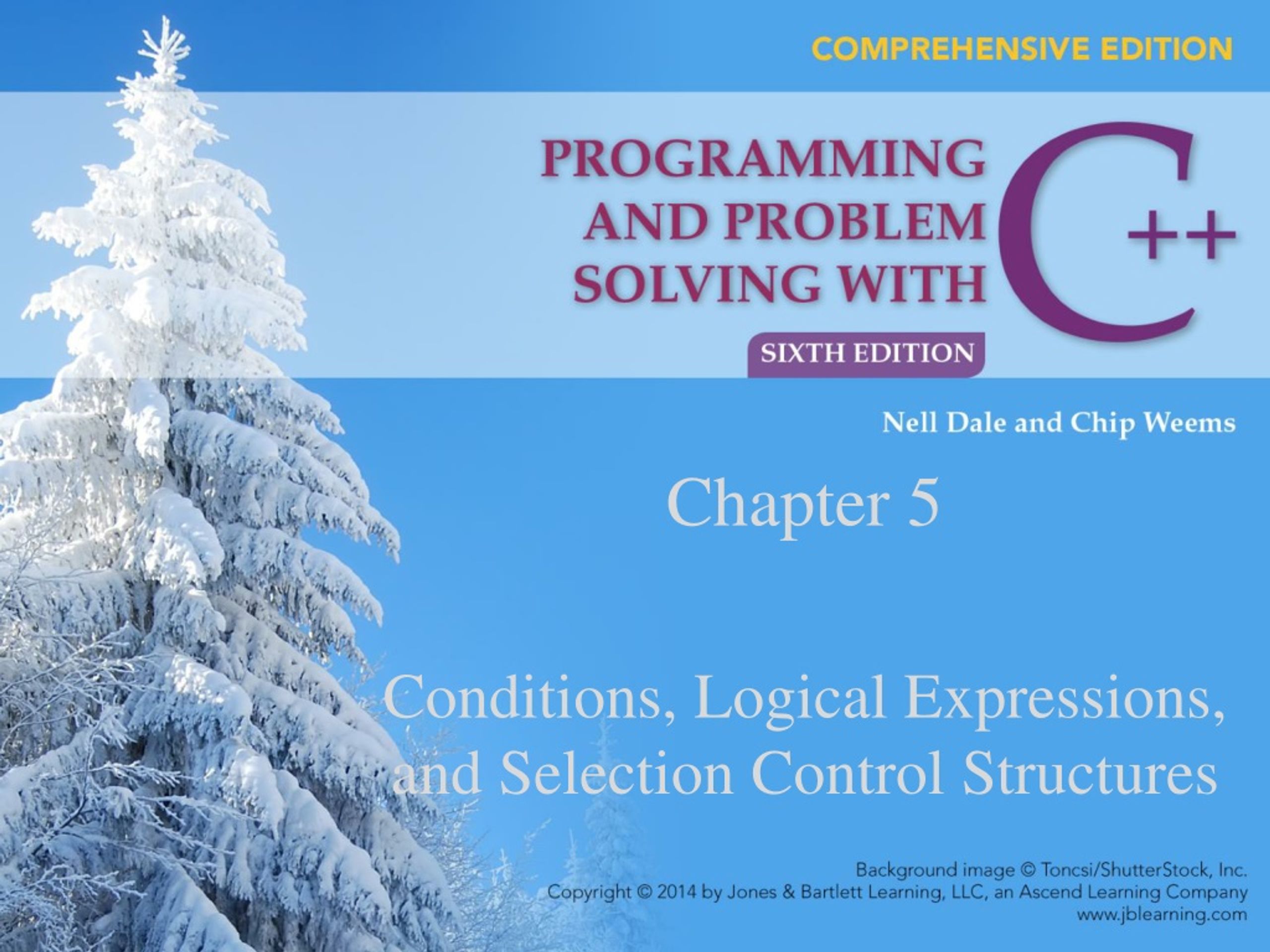 C++ Logical Expressions & Control Structures: Basics & Examples - slide 1