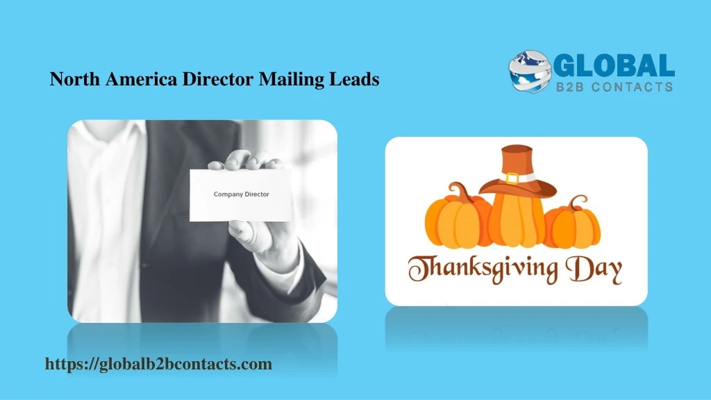 north america director mailing leads