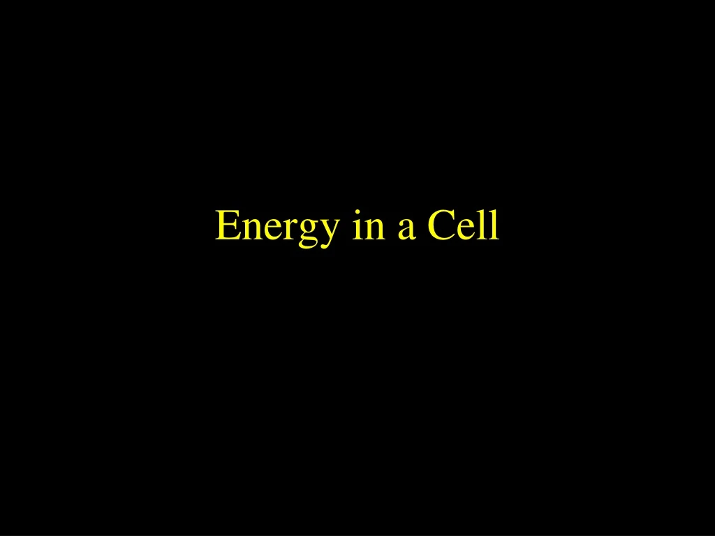 energy in a cell