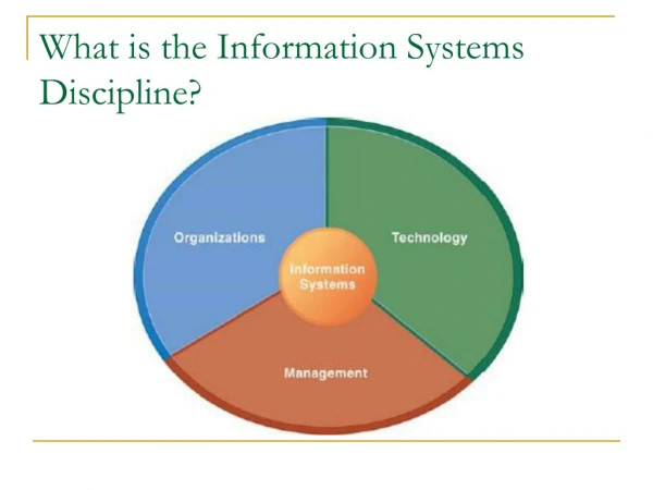 What is the Information Systems Discipline?