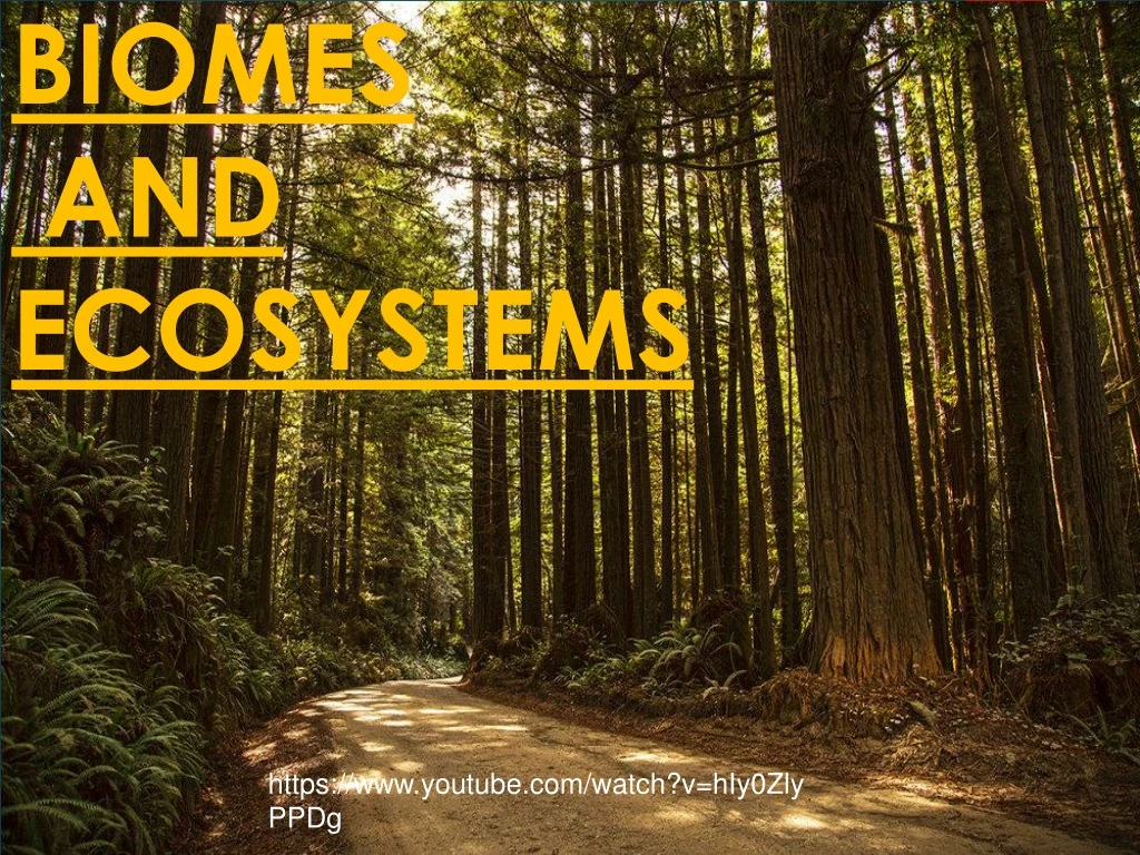 biomes and ecosystems