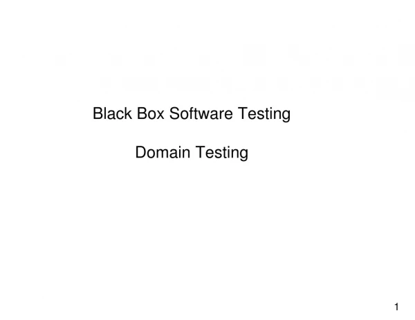 Black Box Software Testing Domain Testing