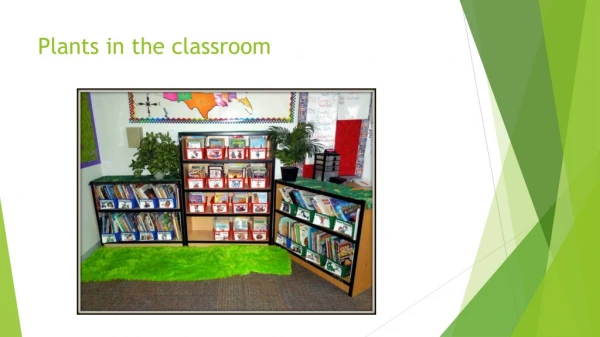 Plants in the classroom