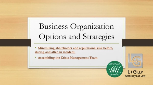 Business Organization Options and Strategies