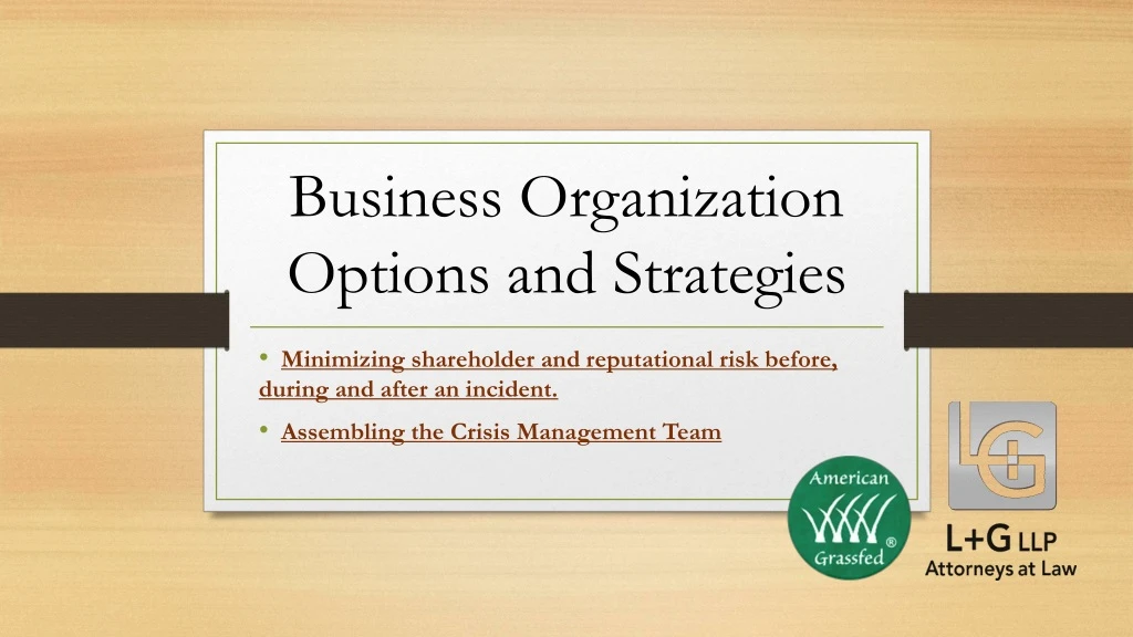 business organization options and strategies