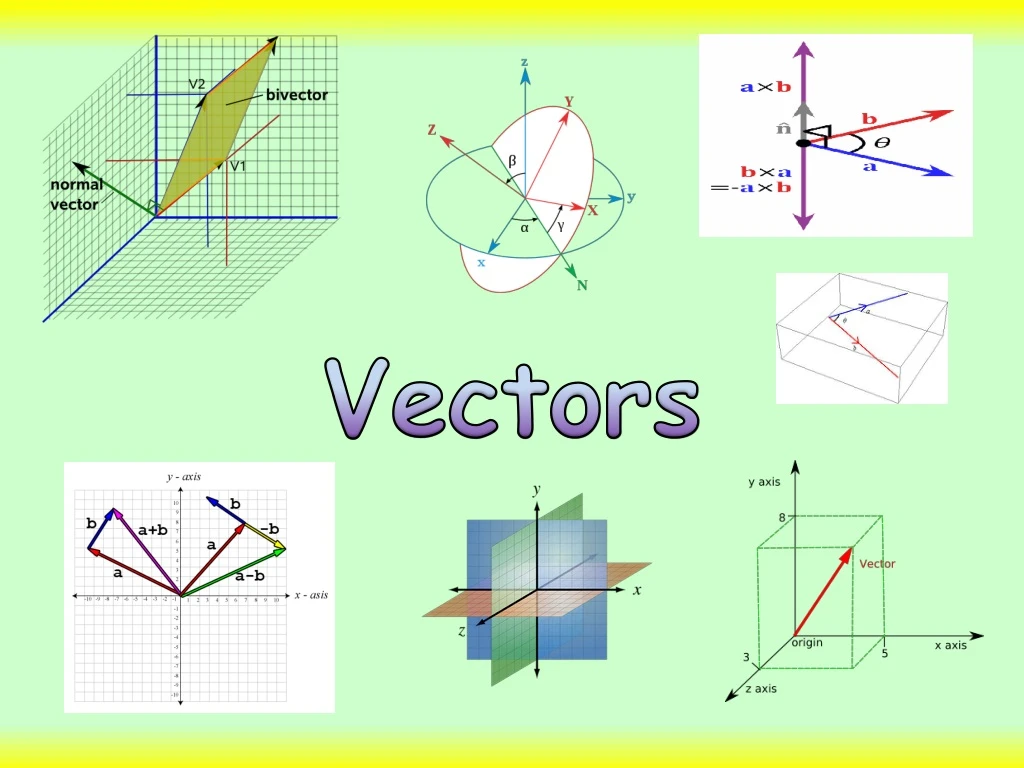 vectors