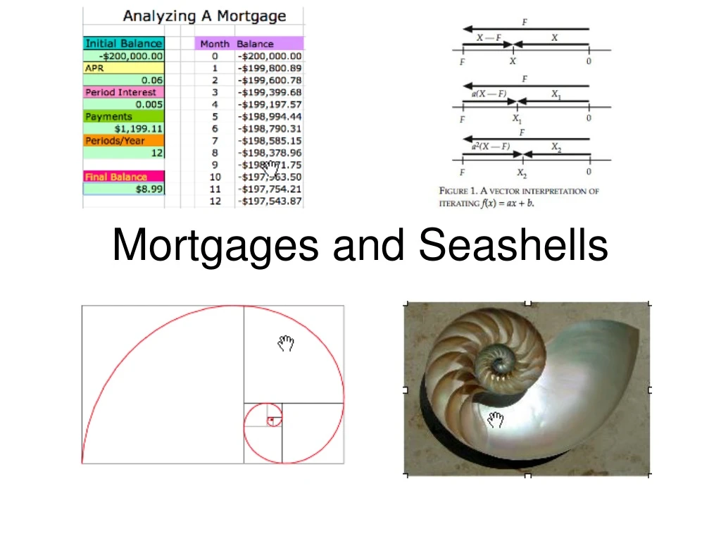 mortgages and seashells