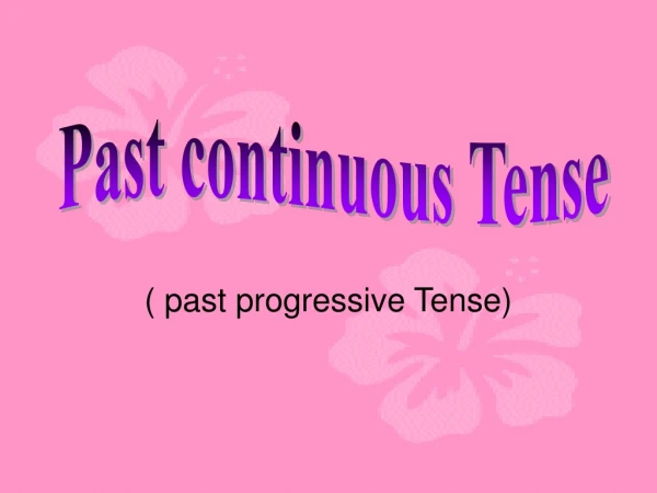 ( past progressive Tense)