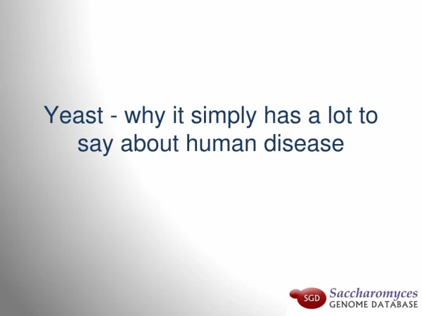 Yeast - w hy it simply has a lot to say about human d isease