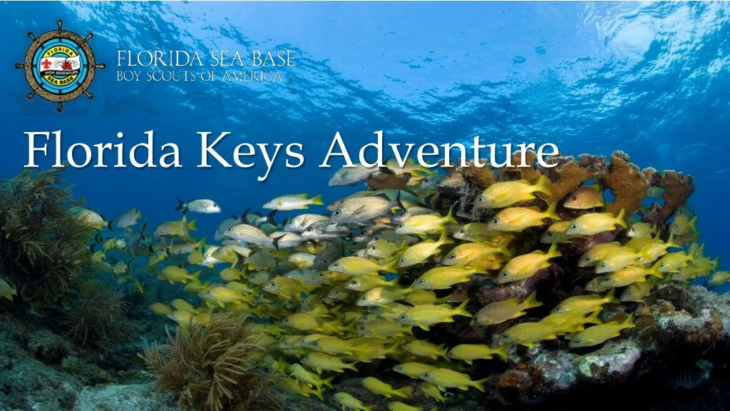 florida keys adventure