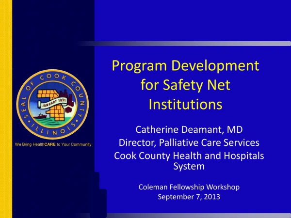 Program Development for Safety Net Institutions
