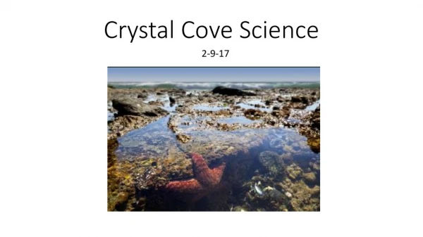 Crystal Cove Science