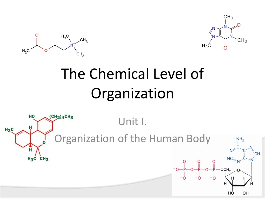 the chemical level of organization