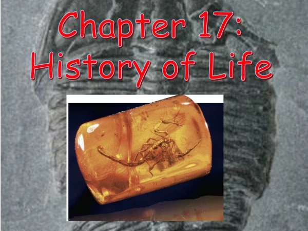 Chapter 17: History of Life