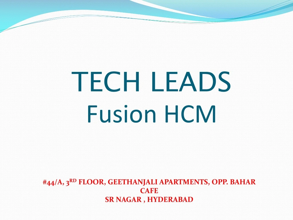 tech leads fusion hcm