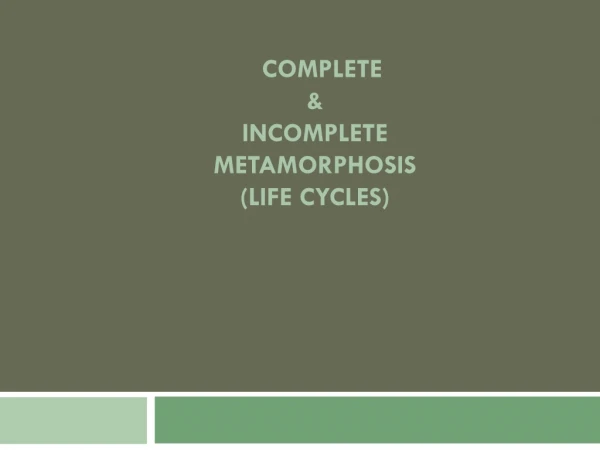 Complete &amp; Incomplete metamorphosis (Life cycles)