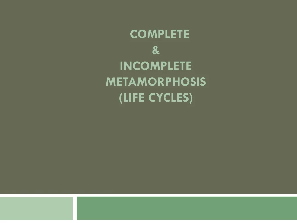 complete incomplete metamorphosis life cycles