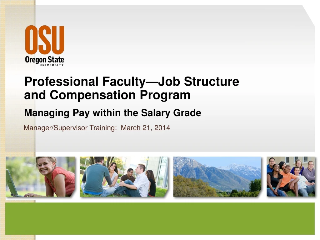 professional faculty job structure