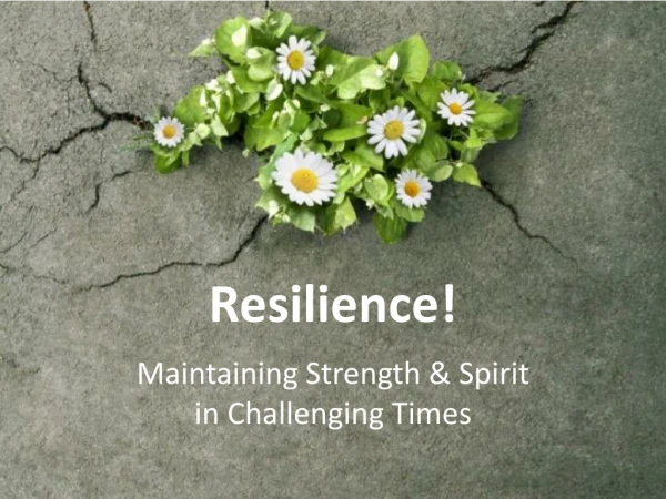 Resilience!