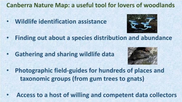 Canberra Nature Map: a useful tool for lovers of woodlands Wildlife identification assistance