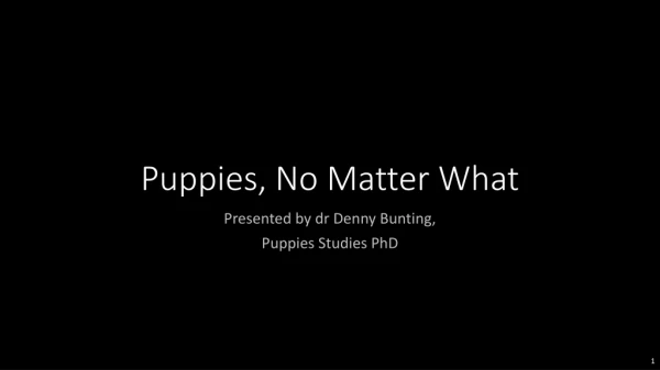 Puppies, No Matter What
