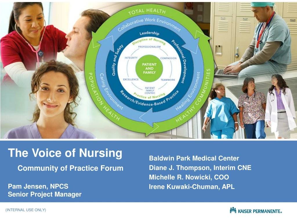 the voice of nursing community of practice forum pam jensen npcs senior project manager