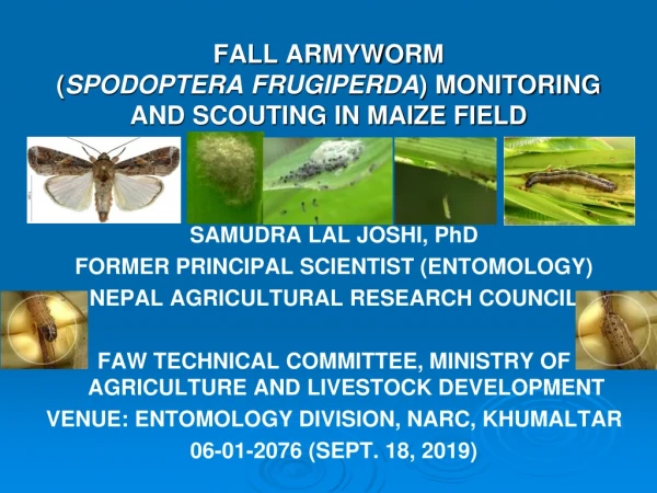 FALL ARMYWORM ( SPODOPTERA FRUGIPERDA ) MONITORING AND SCOUTING IN MAIZE FIELD