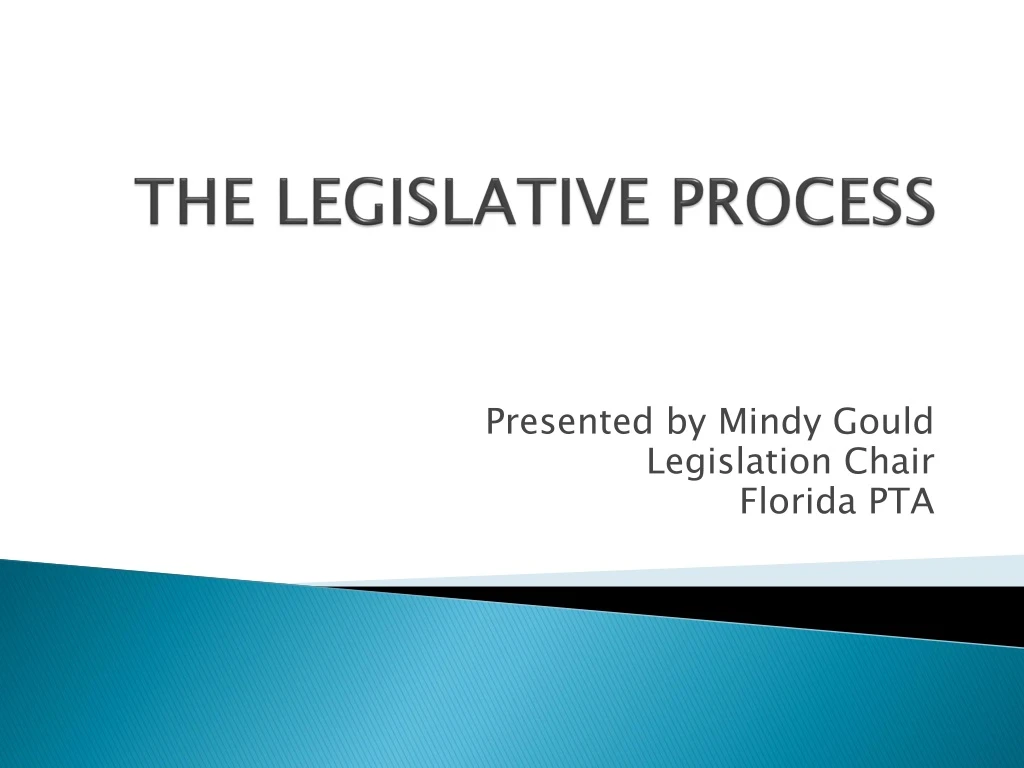 the legislative process