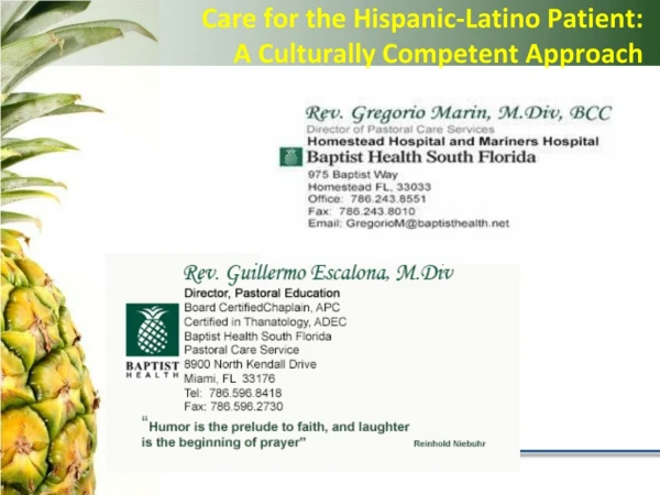 Care for the Hispanic-Latino Patient: A Culturally Competent Approach